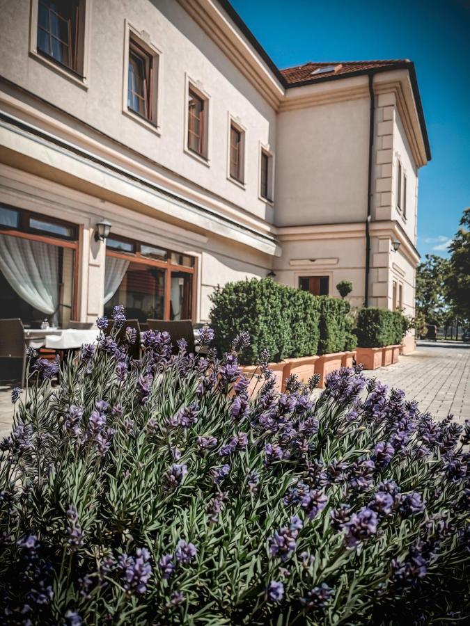 Restaurant Pansion Wien Cierny Brod エクステリア 写真